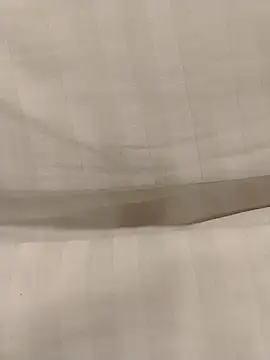 Yoshi rexy online show from 10.15.25