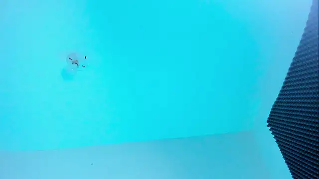 Ellope  online show from 10.22.25