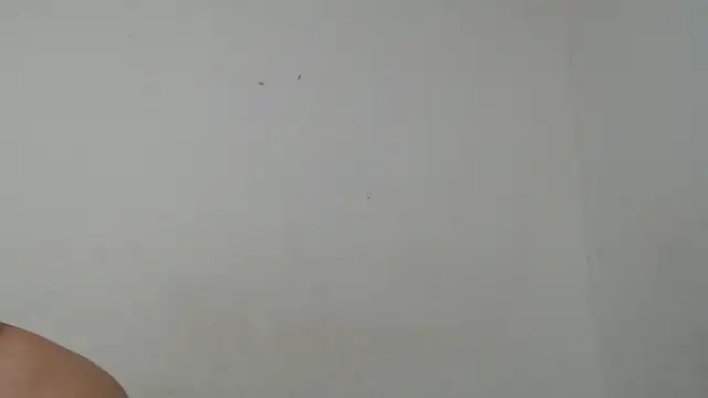 Ana ThiagoxX online show from 09.14.25