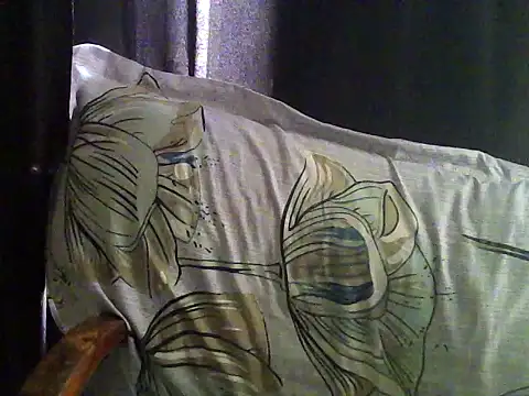 Snapshot of strip_vani chatting on 01.19.26 strip vani online show from 01.19.26