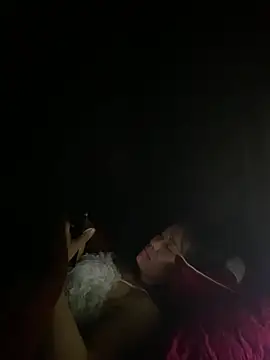 Snapshot of PhanHaa chatting on 03.04.26 PhanHaa online show from 03.04.26