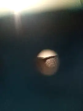 Sonya51561 online show from 11.26.25