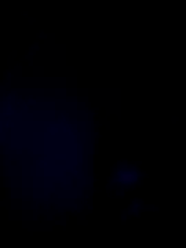 coca cola2025 online show from 04.07.26