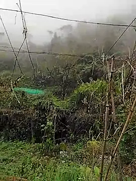 quynhkoolbae online show from 03.11.26