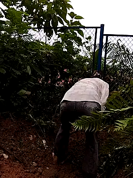 linda bae00 online show from 09.27.25