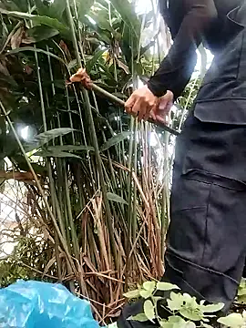 linda bae00 online show from 10.26.25