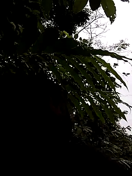 linda bae00 online show from 11.05.25