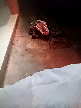 fanchunn online show from 02.09.26