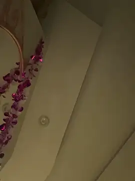 Snapshot of HaltBrand chatting on 03.01.26 HaltBrand online show from 03.01.26