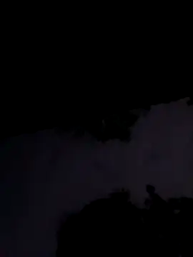 Apkisona8 online show from 11.01.25