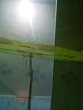 Apkisona8 online show from 11.21.25