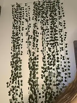 butterfly777  online show from 01.11.26