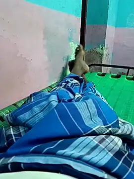 dolphiinn online show from 10.24.25