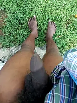 dolphiinn online show from 11.07.25