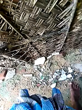 dolphiinn online show from 11.30.25