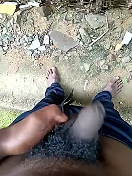 dolphiinn online show from 12.17.25