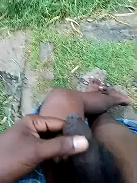 dolphiinn online show from 12.22.25