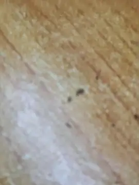 Markroco696 online show from 10.06.25