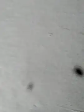 Snapshot of Mollysdick chatting on 04.16.26 Mollysdick online show from 04.16.26