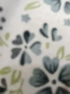 Snapshot of Hot_modal chatting on 11.15.25 Hot modal online show from 11.15.25