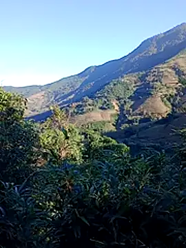 misa 00 online show from 11.29.25