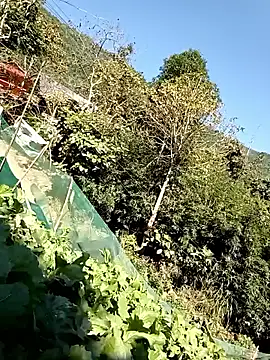 Maymay0033 online show from 11.29.25