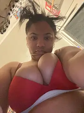 StylishEchium online show from 11.24.25