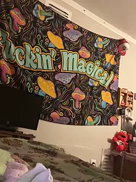 StylishEchium online show from 03.11.26