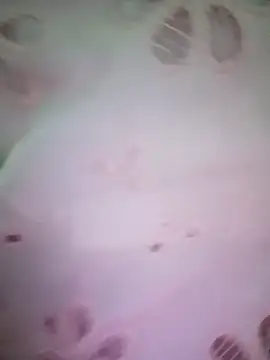 merylove-00 online show from 04.15.26