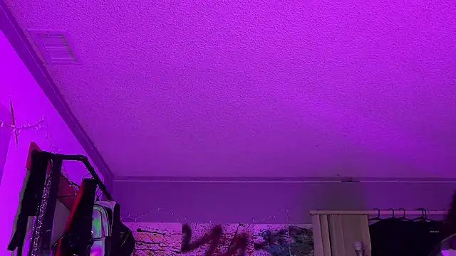 xoFrankie online show from 11.16.25