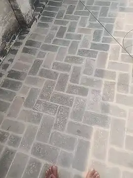 PunjabiSardarBull online show from 11.20.25