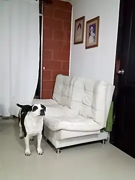 Snapshot of Isbettyche chatting on 02.11.26 Isbettyche online show from 02.11.26