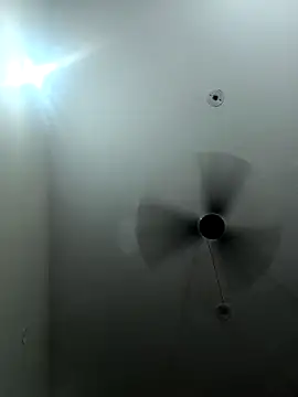 Appypie online show from 09.16.25