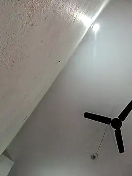 Appypie online show from 11.11.25