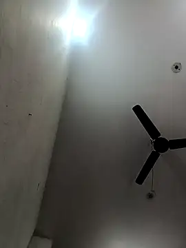 Appypie online show from 12.15.25