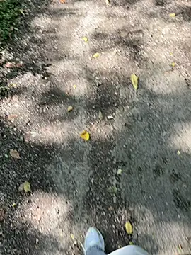 Snapshot of amo660 chatting on 09.20.25 amo660 online show from 09.20.25