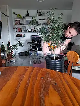 AmnesiaKushxSkywalkerOg online show from 01.07.26