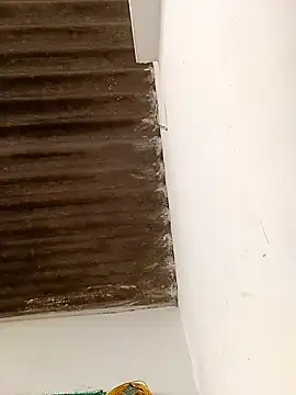 Sapna9685 online show from 11.15.25