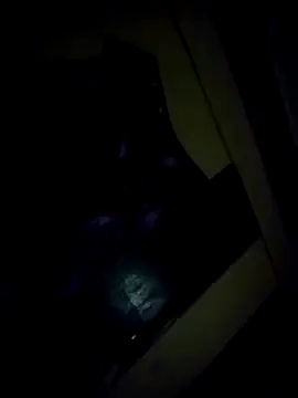 Snapshot of shadab1267 chatting on 10.30.25 shadab1267 online show from 10.30.25