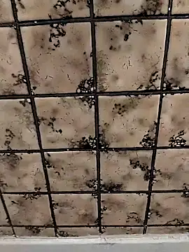 rosembertg online show from 10.02.25