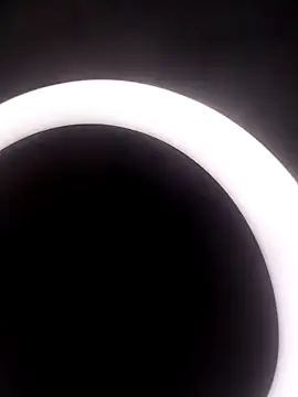 Merlylee online show from 10.15.25