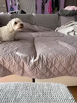 bananasex204 online show from 10.25.25