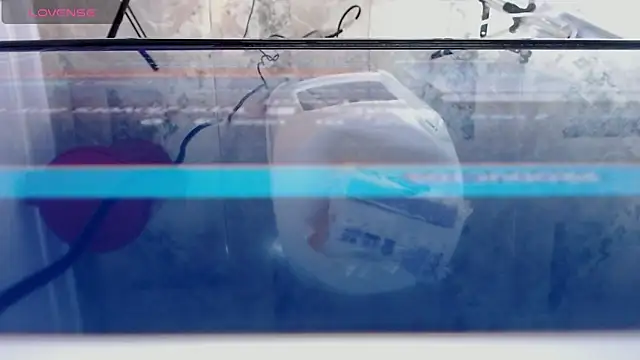 andrealopezcm101 online show from 12.15.25