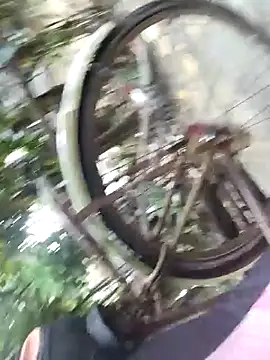 lobmondal250 online show from 10.30.25