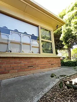 Stelan690 online show from 11.21.25