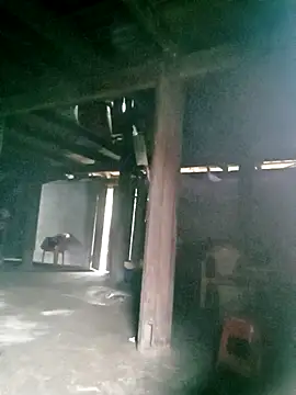 ngan-cute online show from 10.16.25