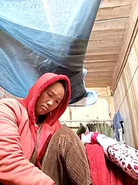 bing-bing88 online show from 01.11.26