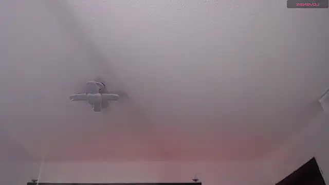  Charlotte Collins  online show from 03.22.26