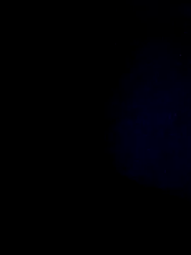 hisandhers4u online show from 03.02.26