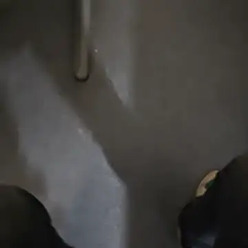 stunning stallion online show from 10.23.25